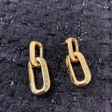 Unclassified Brand Earrings